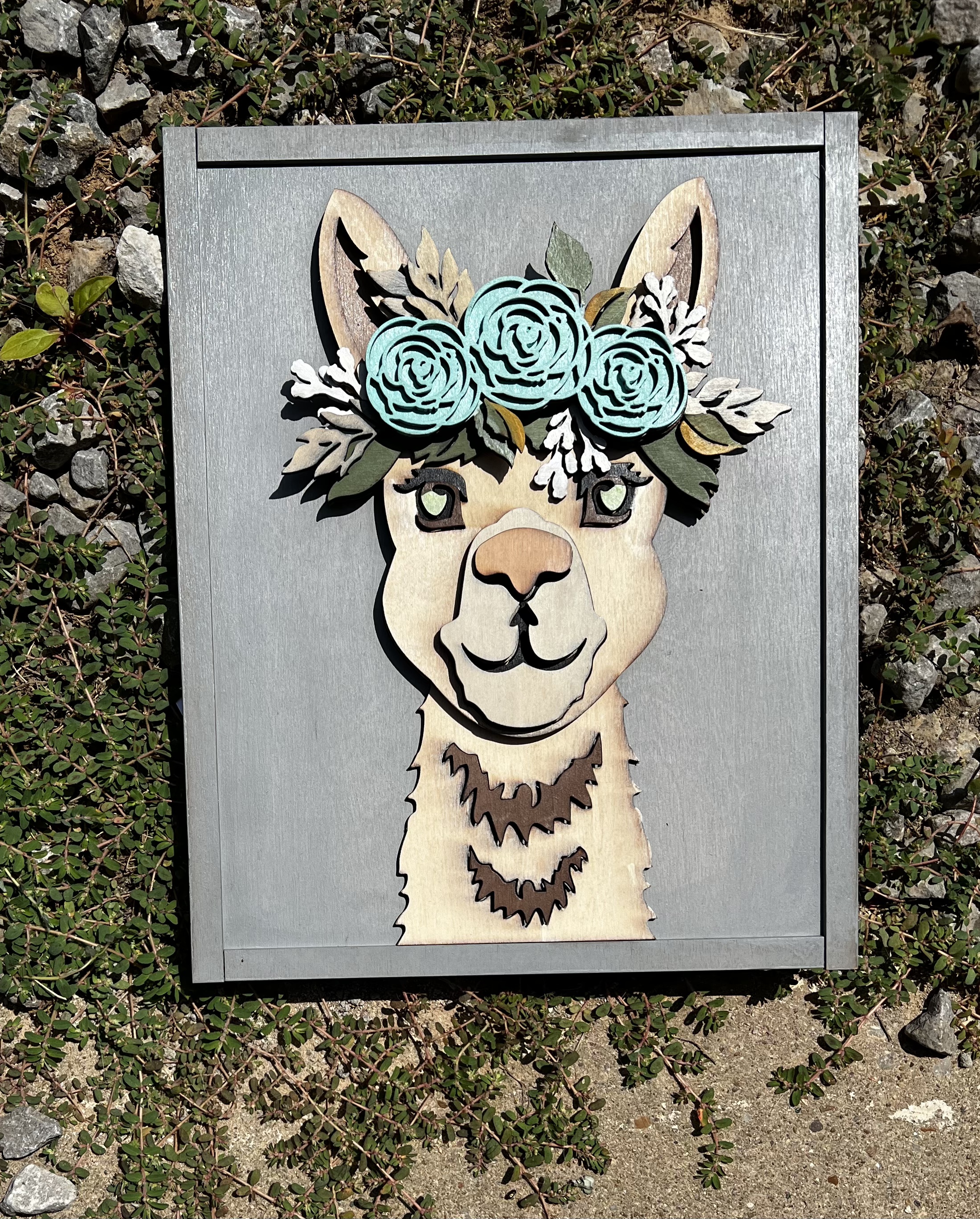 * MY LITTLE DRAMA LAMA