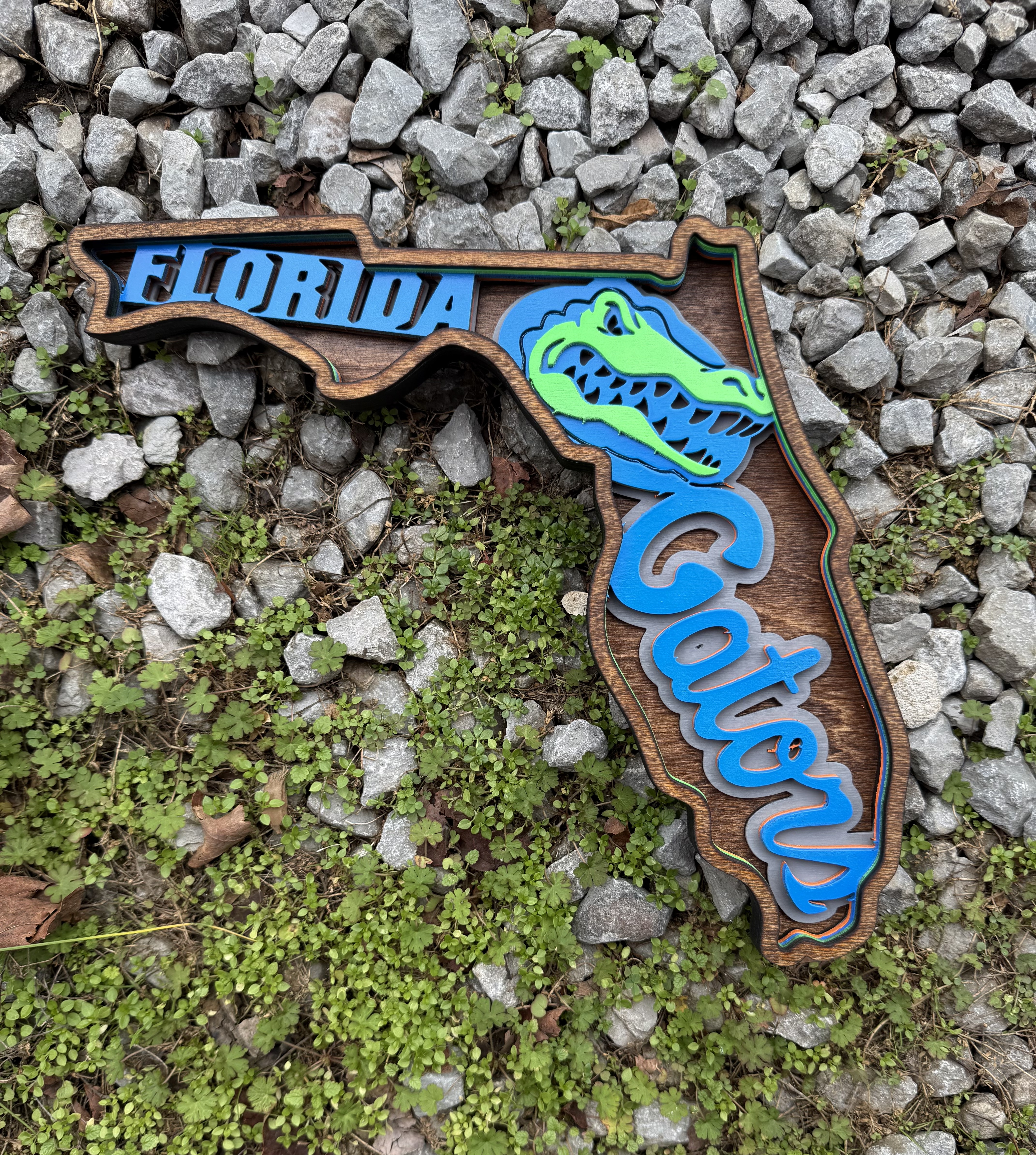 UNIVERSITY OF FLORIDA